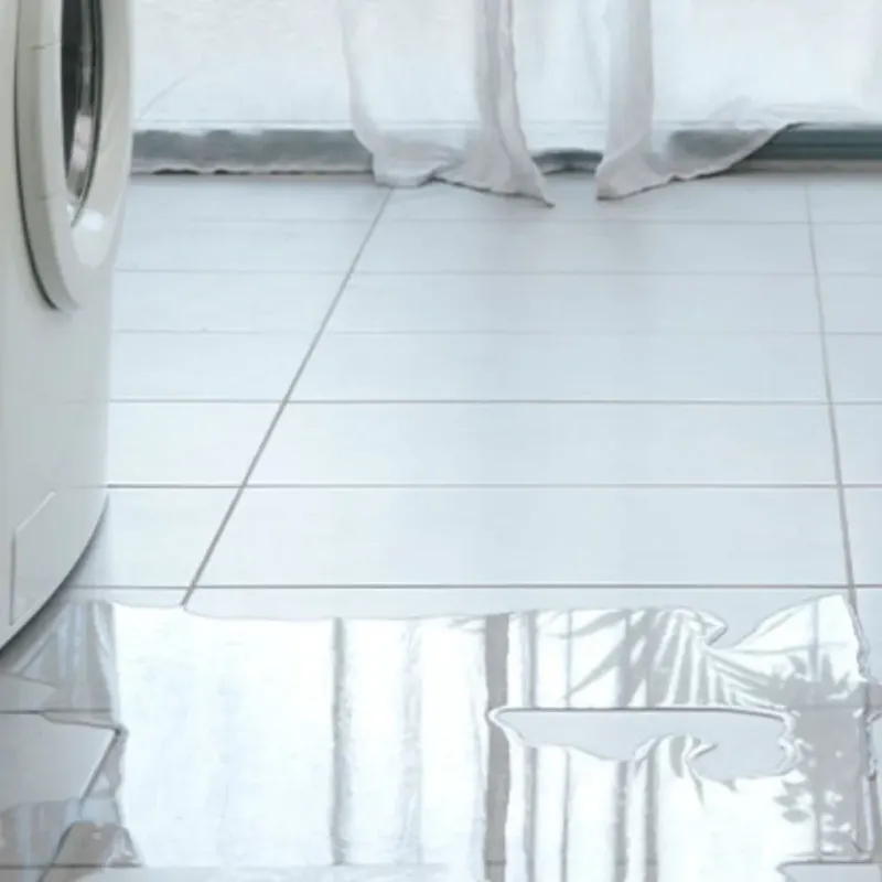 Appliance Leak Cleanup in North Hills, CA