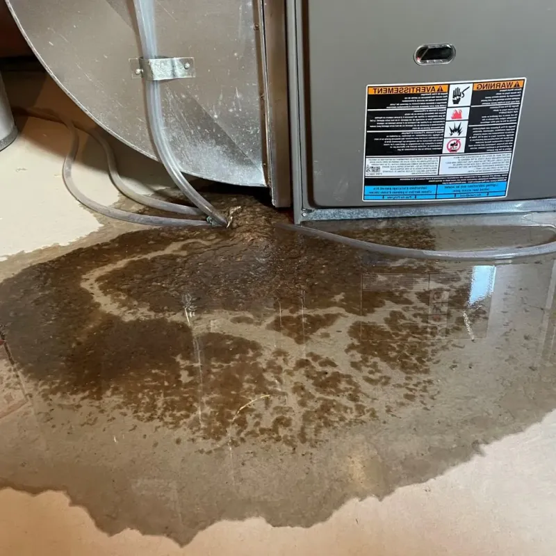 Pipe Burst and Leak Restoration in North Hills, CA